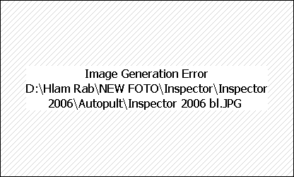 Центральный блок автосигнализации Inspector Boomerang 2006